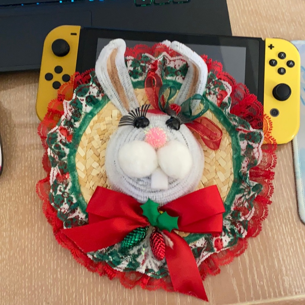 Christmas sombrero bunny